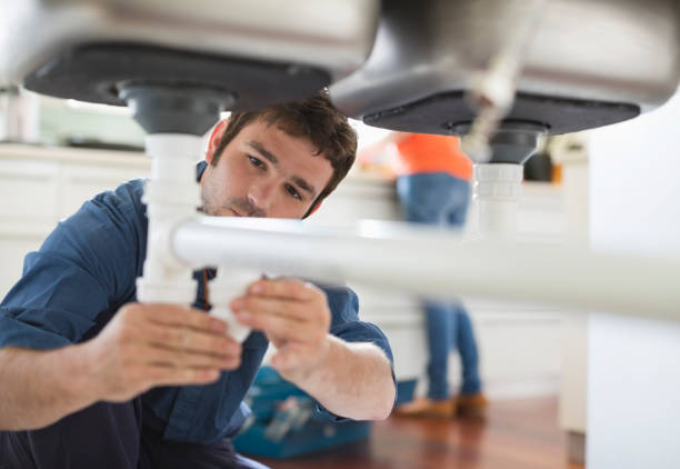 Best Plumbing Inspection Services  in Sylvania, AL